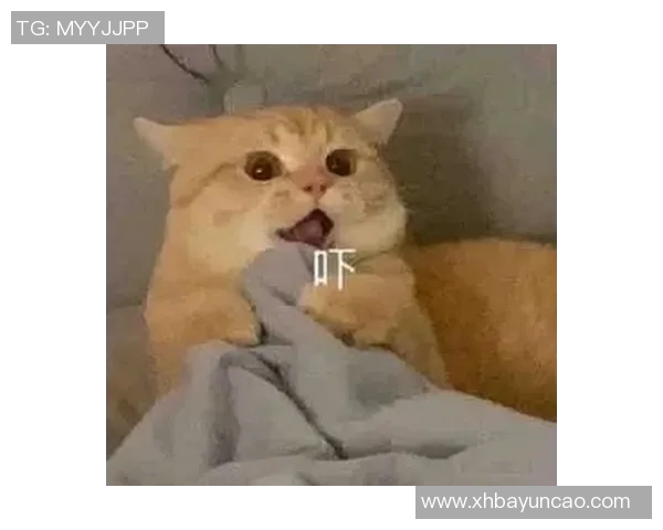 当你看到朋友发来的惊人消息时一脸震惊的表情包瞬间传达你的心情